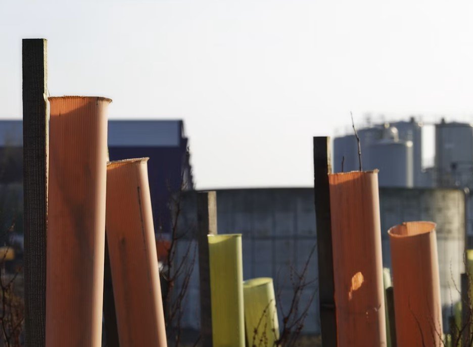 Commercial Property Protection